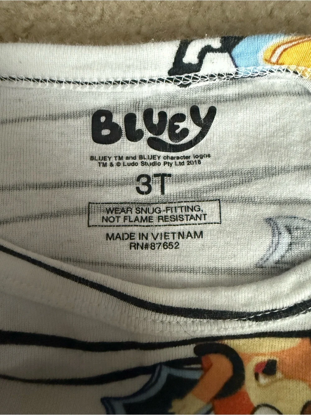Bluey Halloween Pajamas